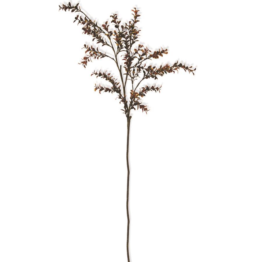 Boxwood Spray Stem