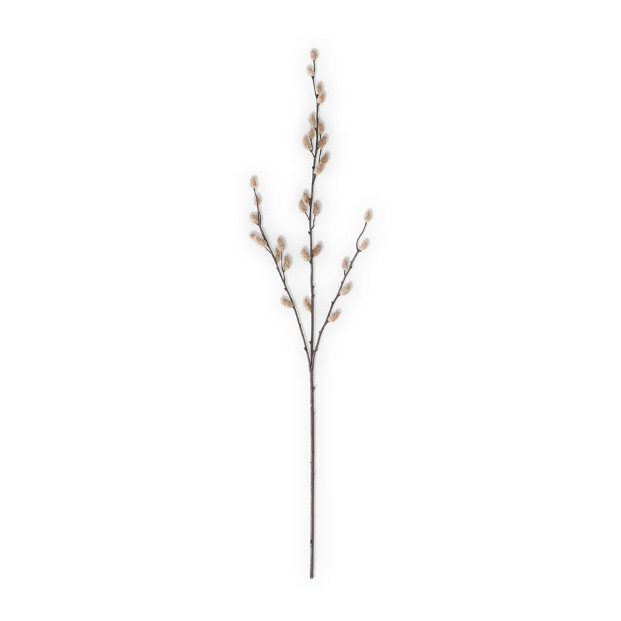 Tan Willow Stem