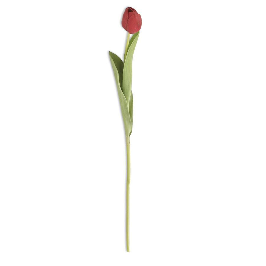 Single Tulip Stem