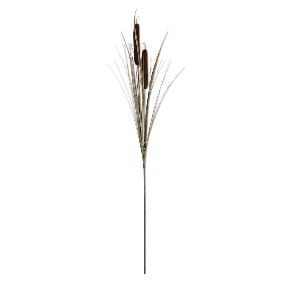 Double Cattail Stem