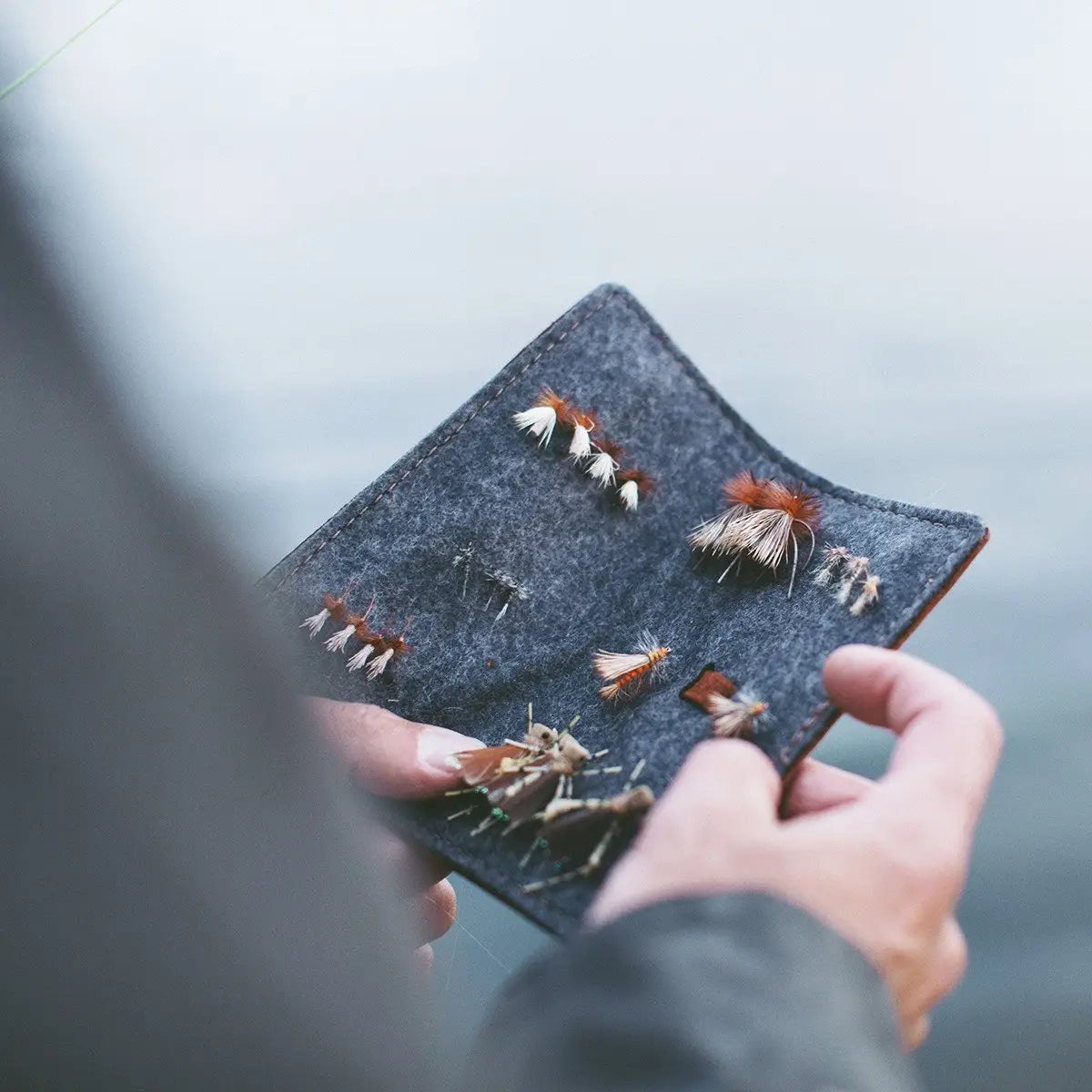 Leather Book of Flies