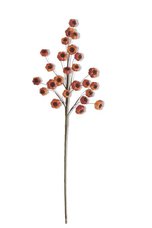 Orange Fig Stem