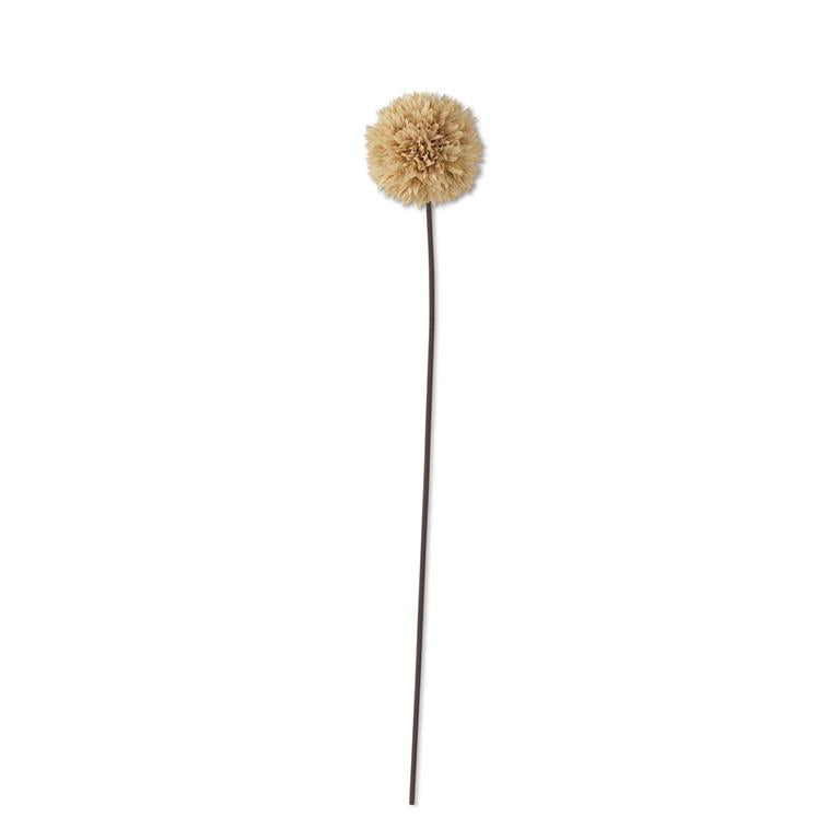 26" Tan Allium Stem