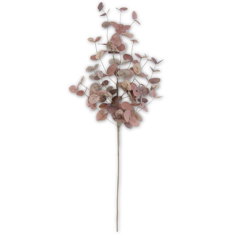 Eucalyptus Stem