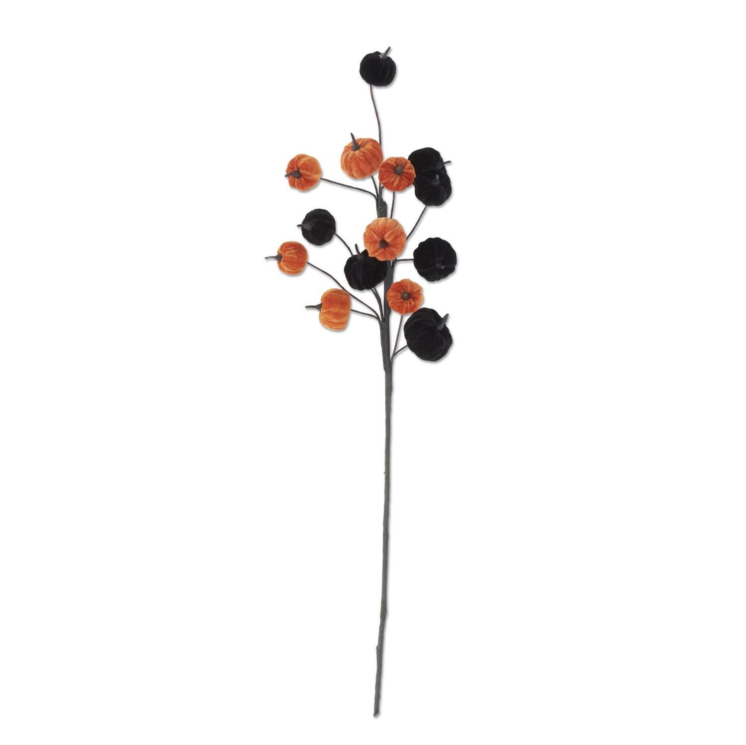 Velvet Pumpkin Stem
