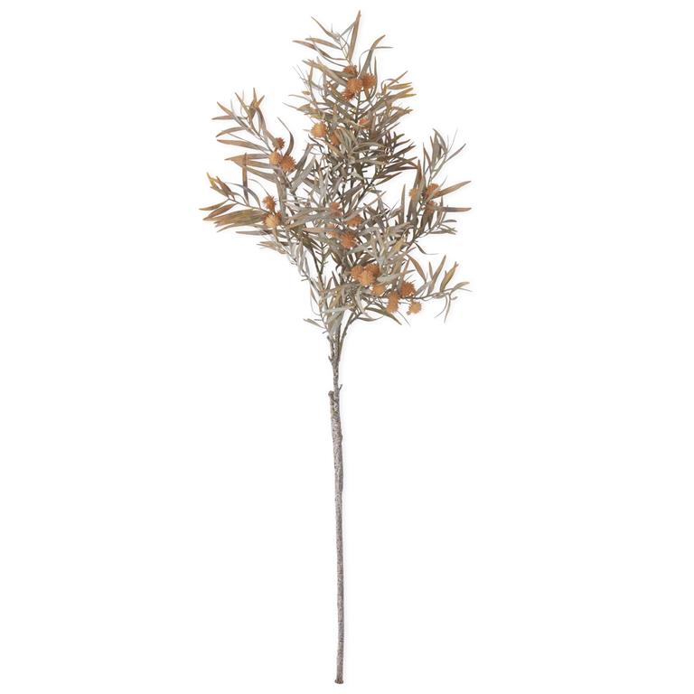 Thistle w/ Reed Spray Stem