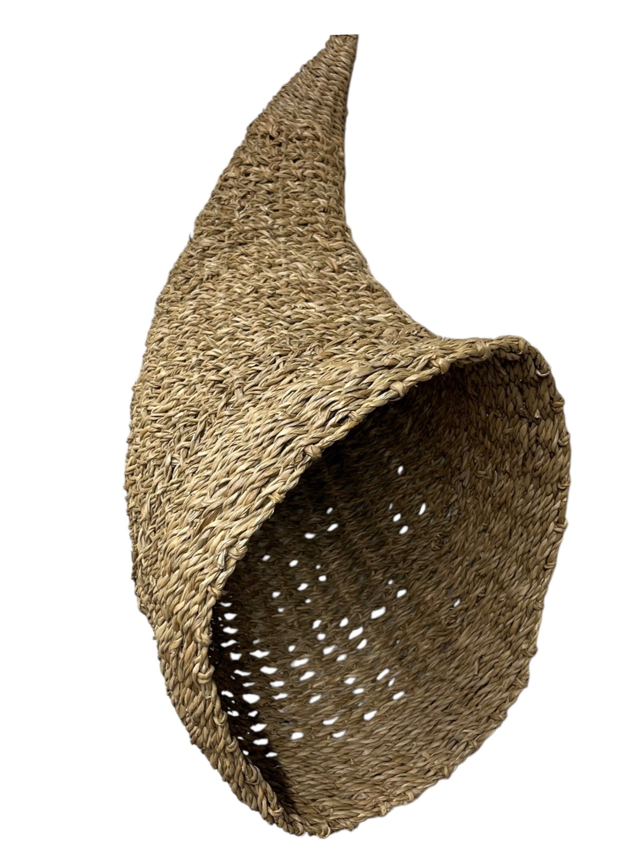 Seagrass Cornucopia