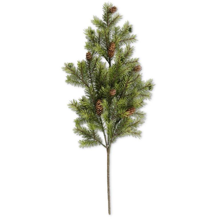 Angel Pine Stem