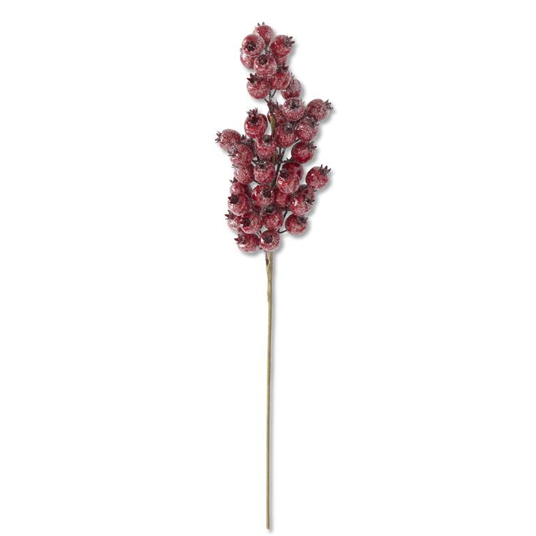 Red Rosehip Stem