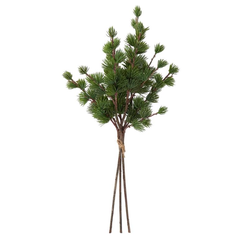 Larch Pine Bundle (3stems)
