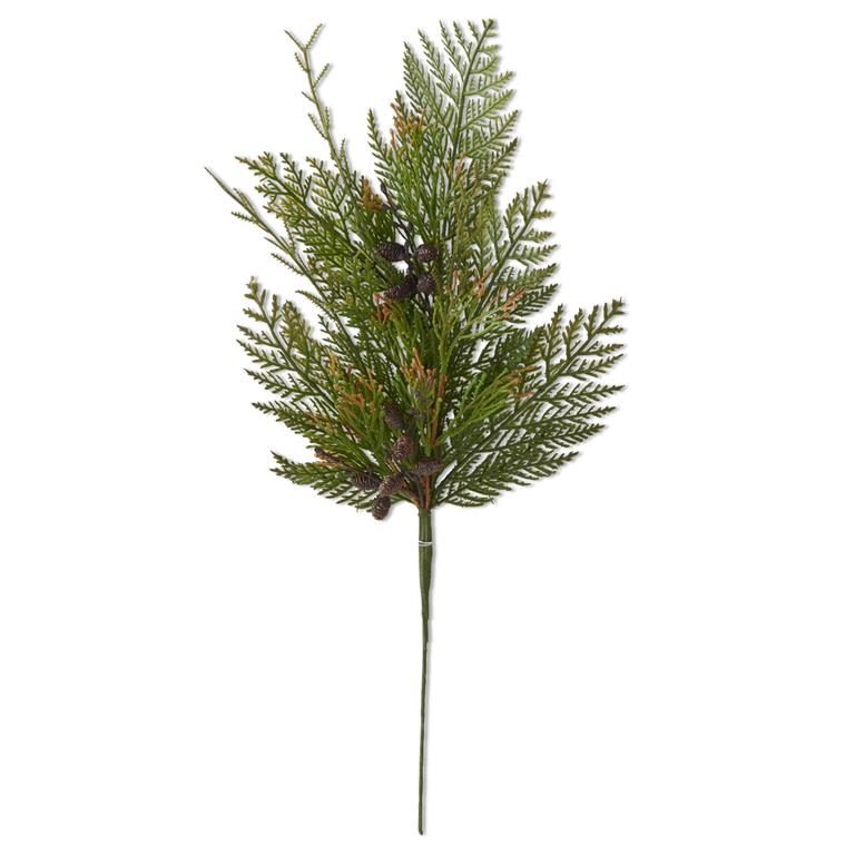Juniper Pine Stem w/ Pinecones