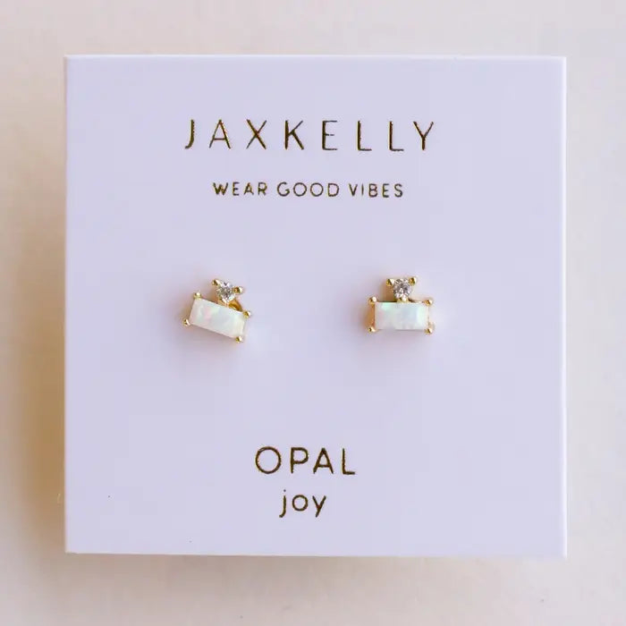 Double Stud Earrings