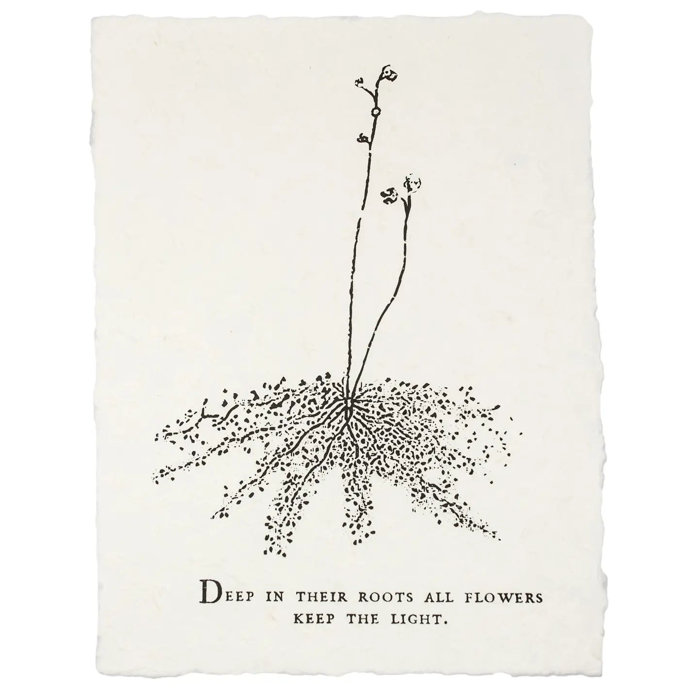 Botanical Paper Prints