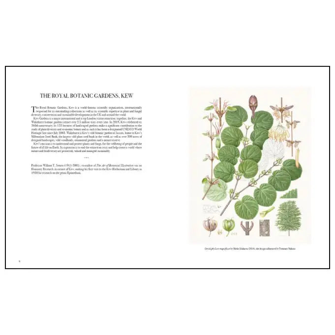The Art of Botanical Illustration