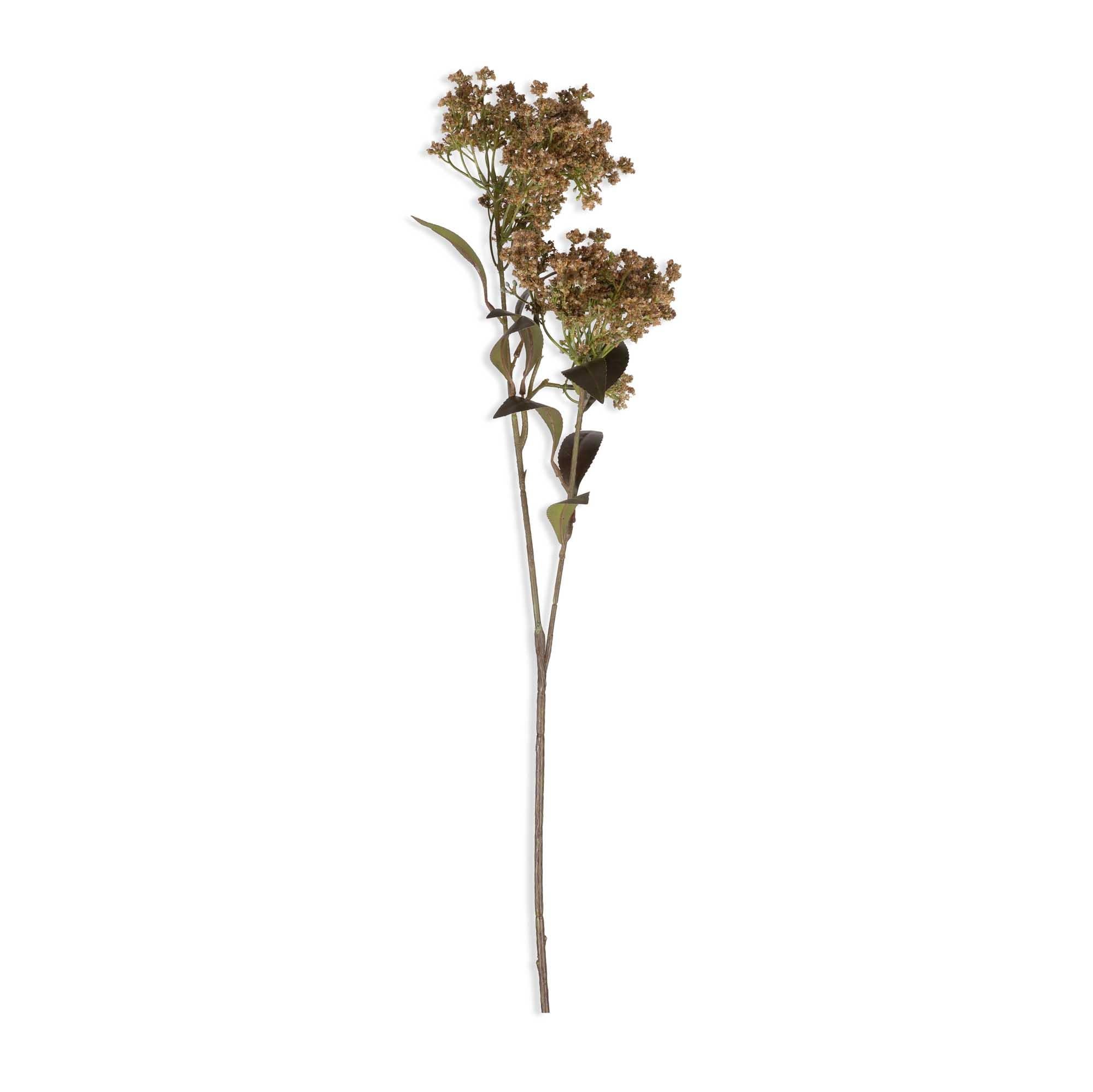 Butterfly Bush Spray