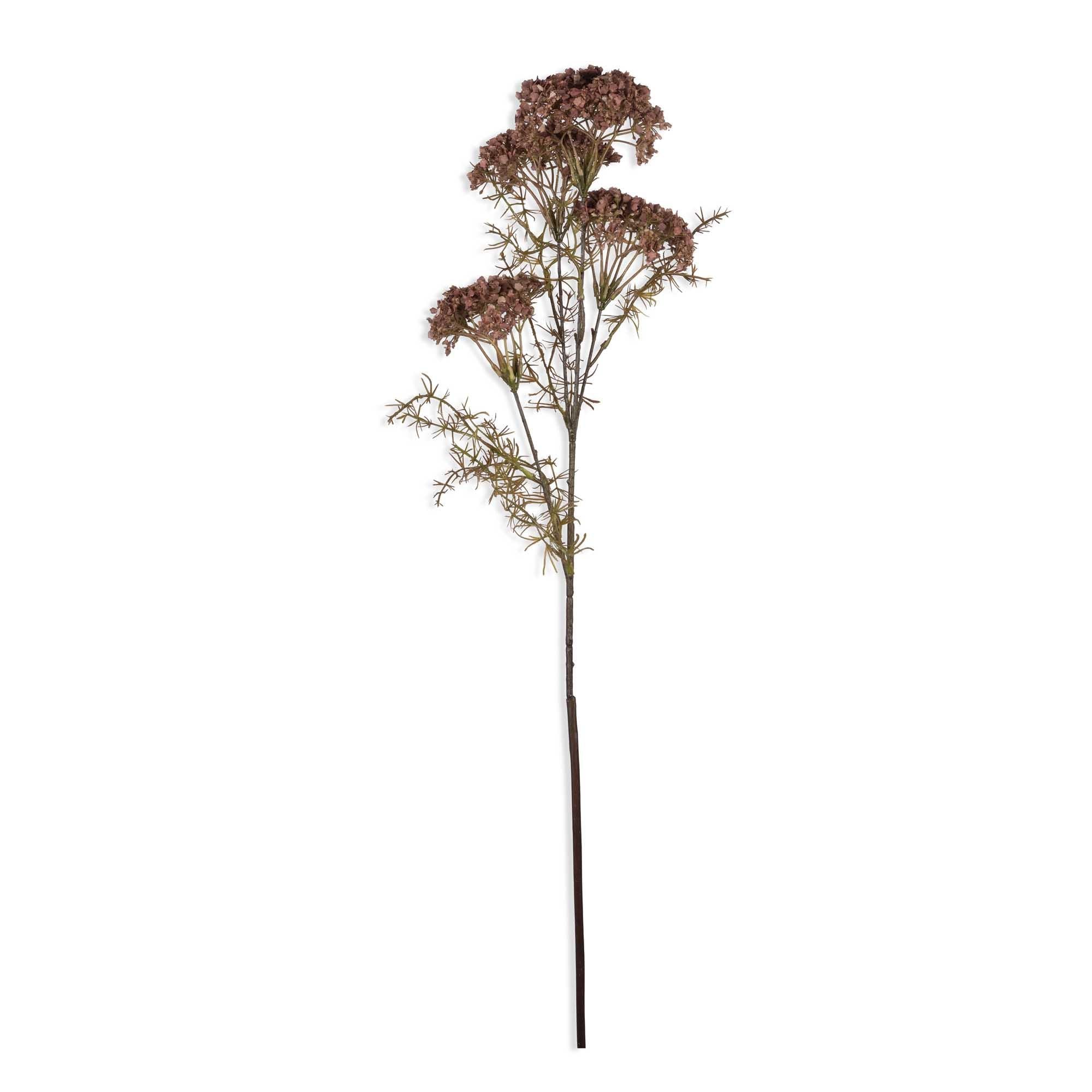 Dill Flower Stem