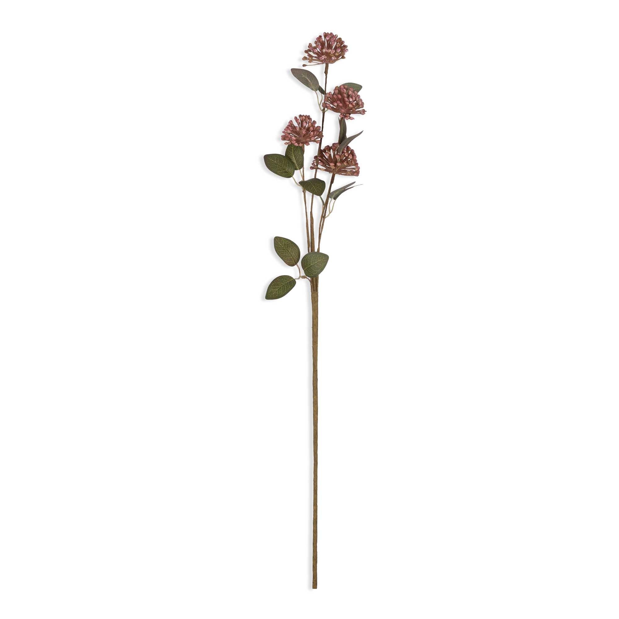 Eucalyptus Berry Stem