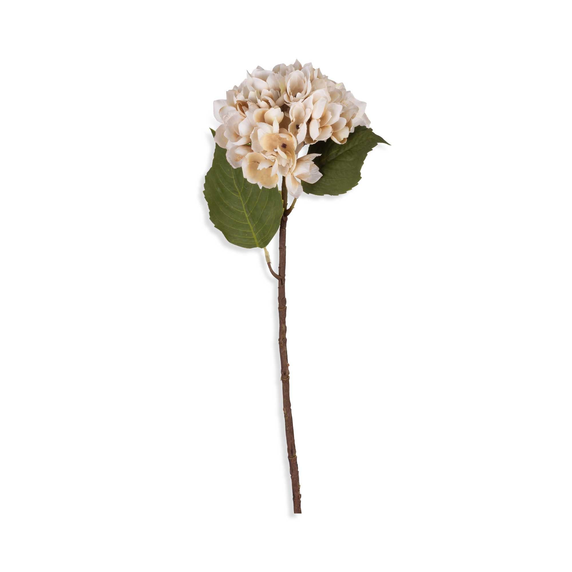 Morning Mist Hydrangea Stem