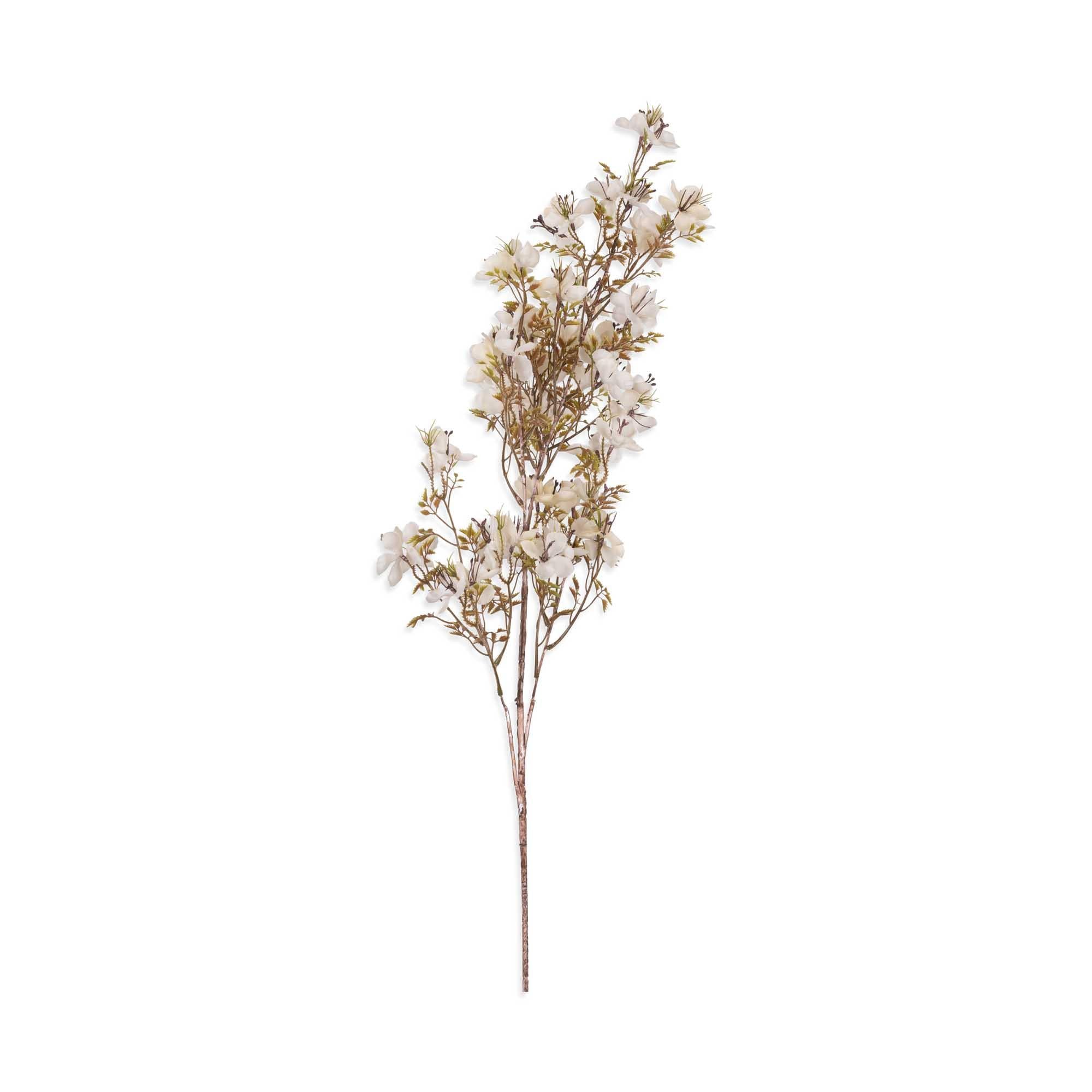 Cream Blossom Stem