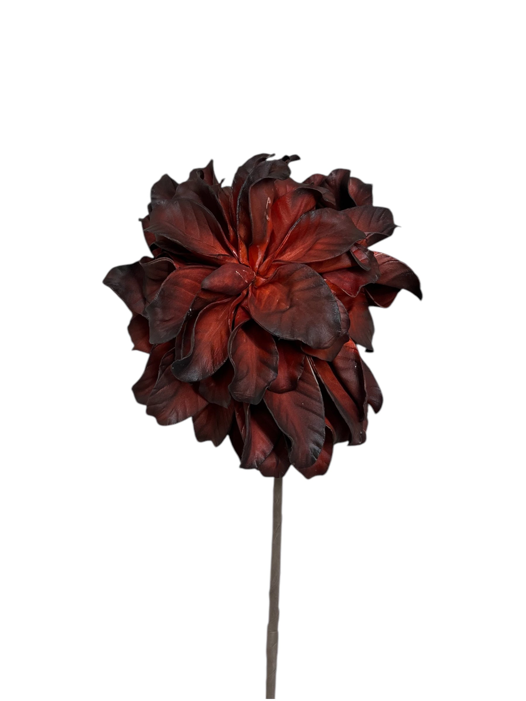 Blood Red Floral Stem