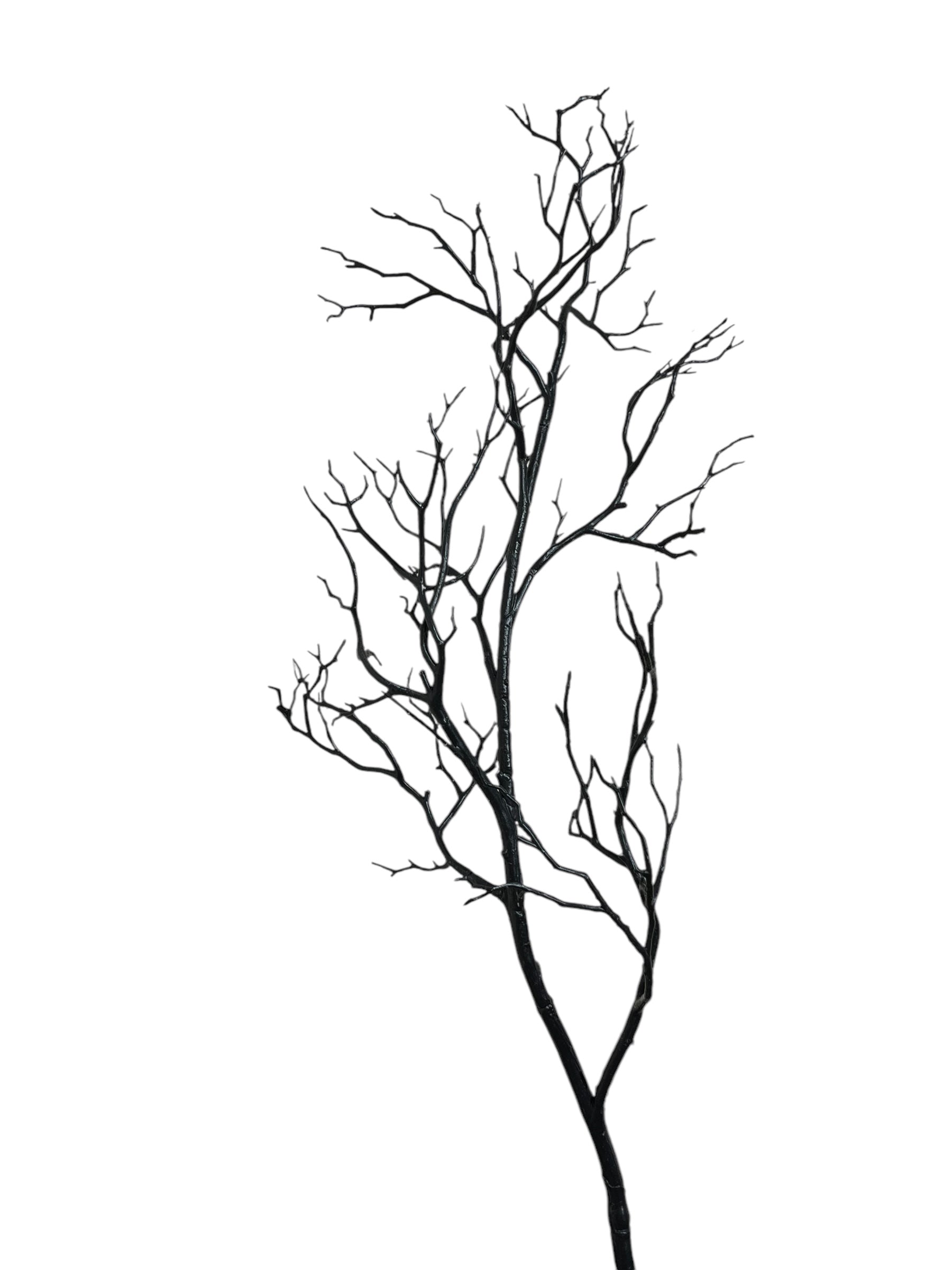 Black Plastic Branch