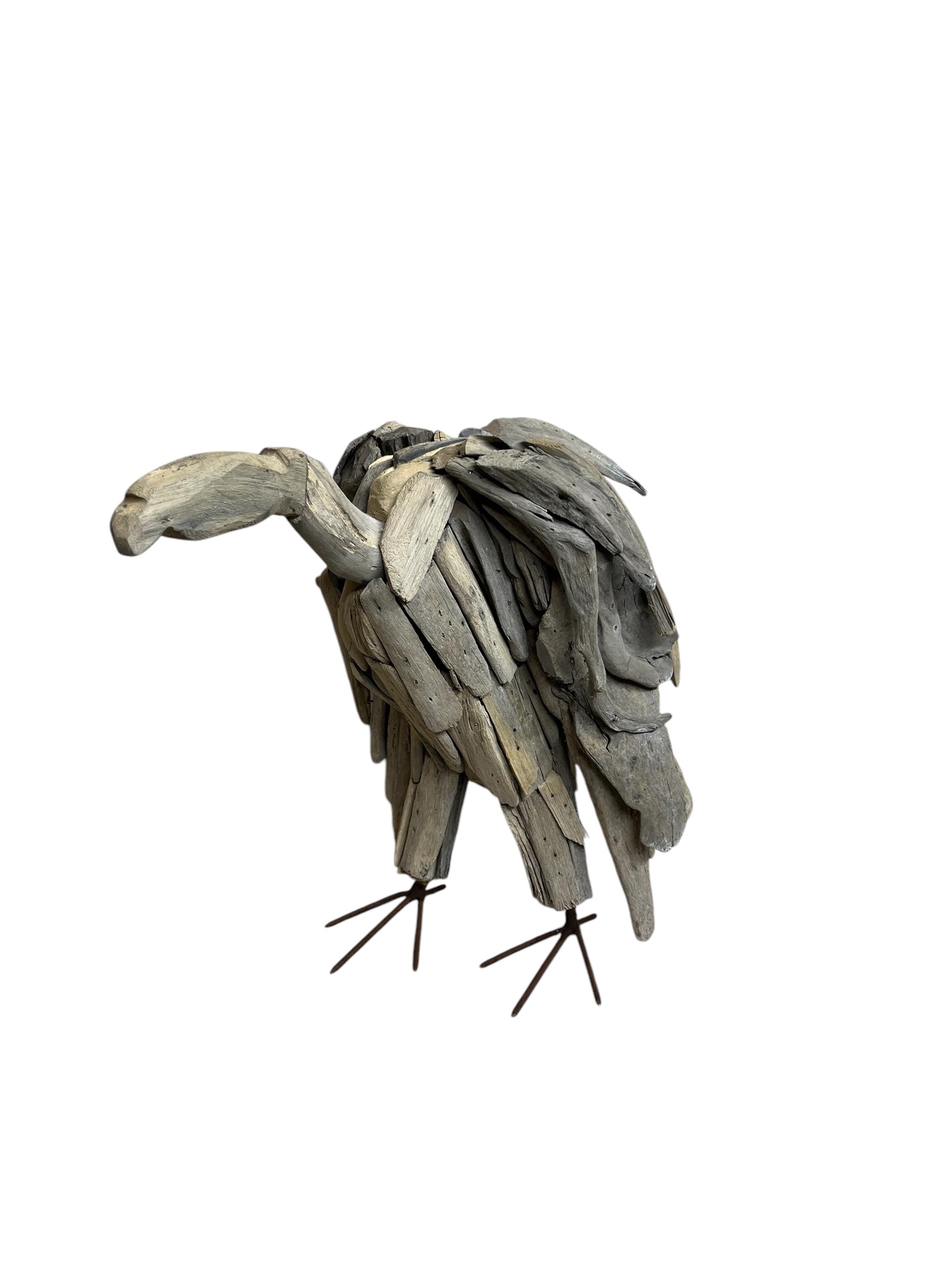 Driftwood Vulture