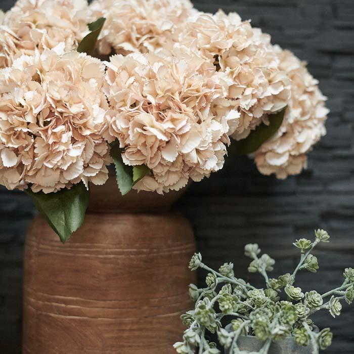 Vanilla Hydrangea Stem