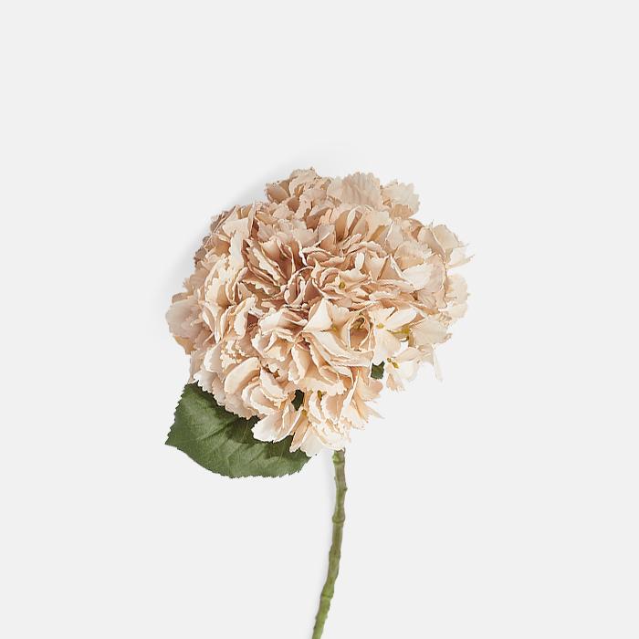 Vanilla Hydrangea Stem