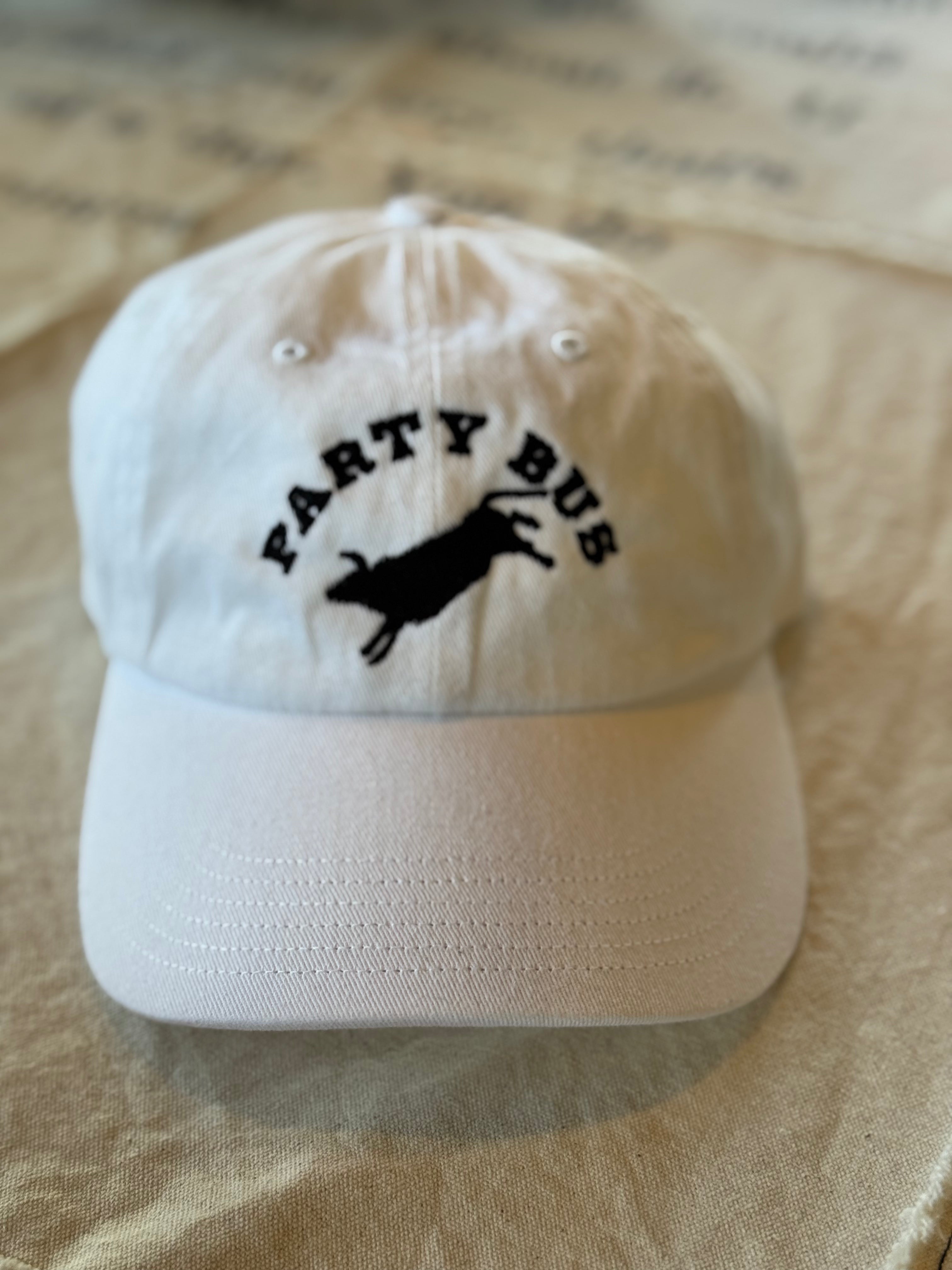 Party Bus Hat
