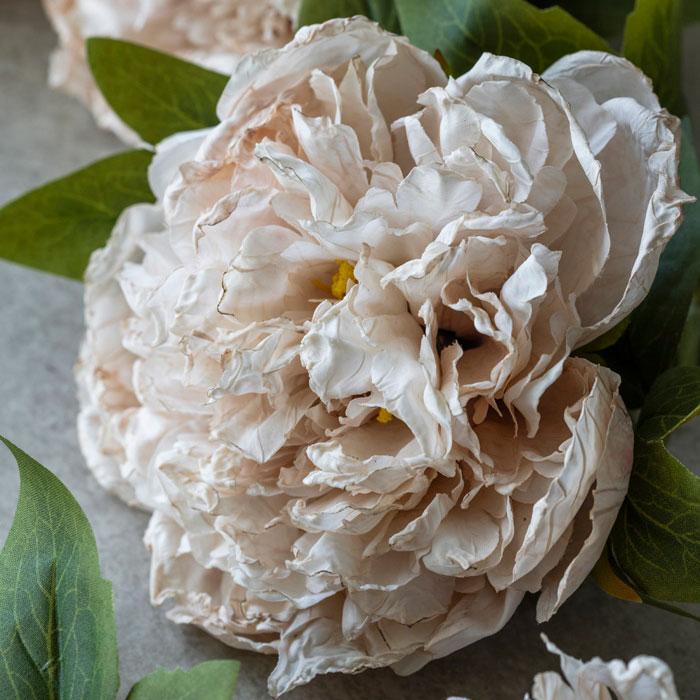 Peony Stem