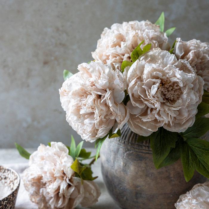 Peony Stem