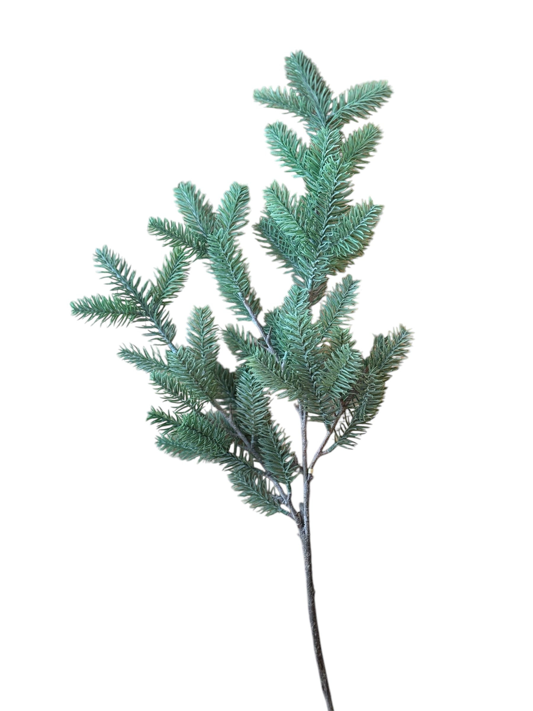 33" Blue Spruce Stem