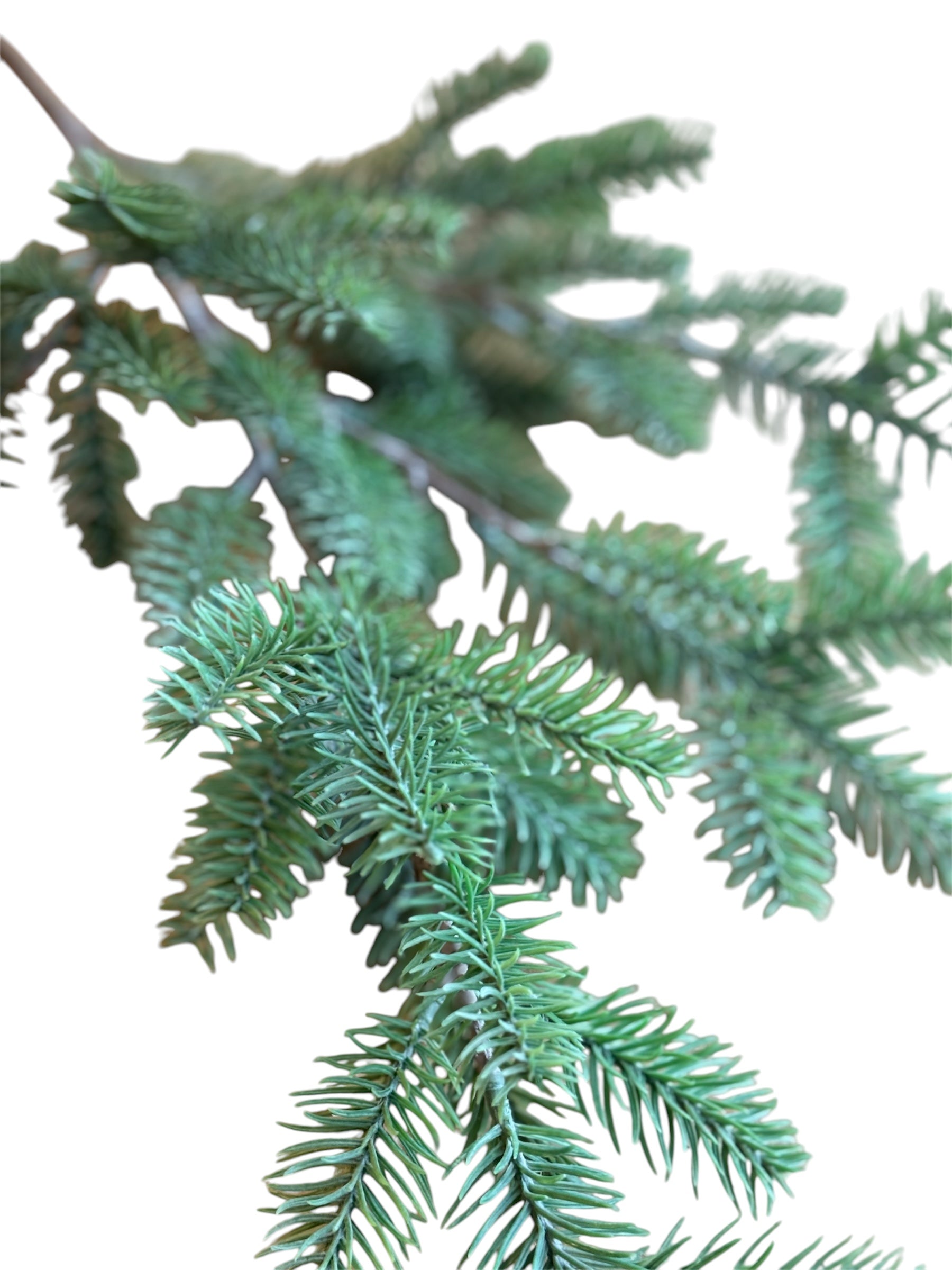 33" Blue Spruce Stem