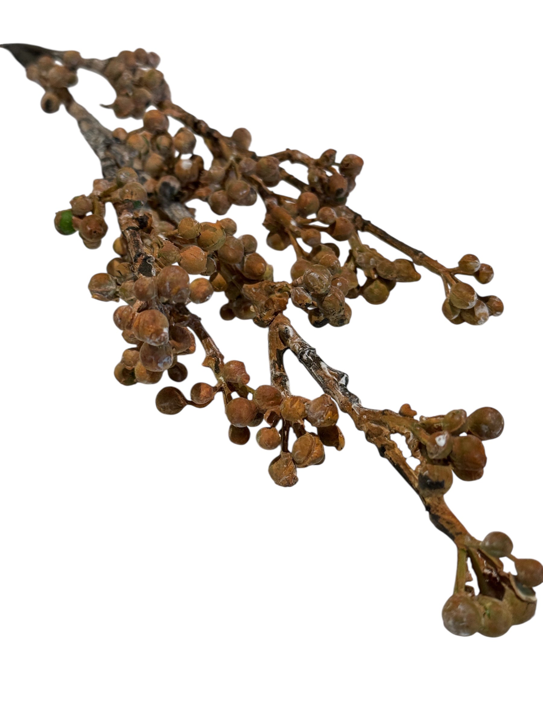 Mustard Berry Stem
