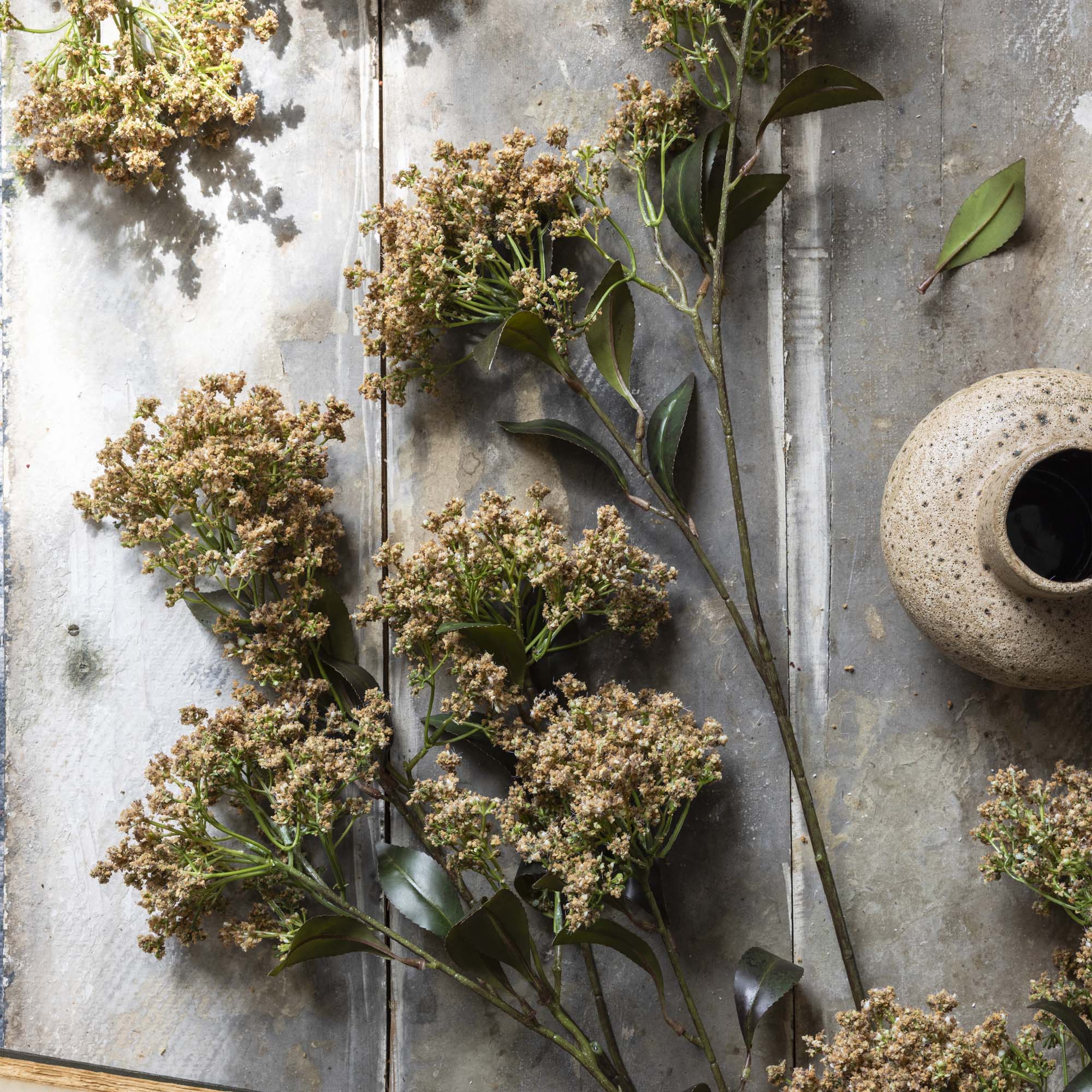 Butterfly Bush Spray