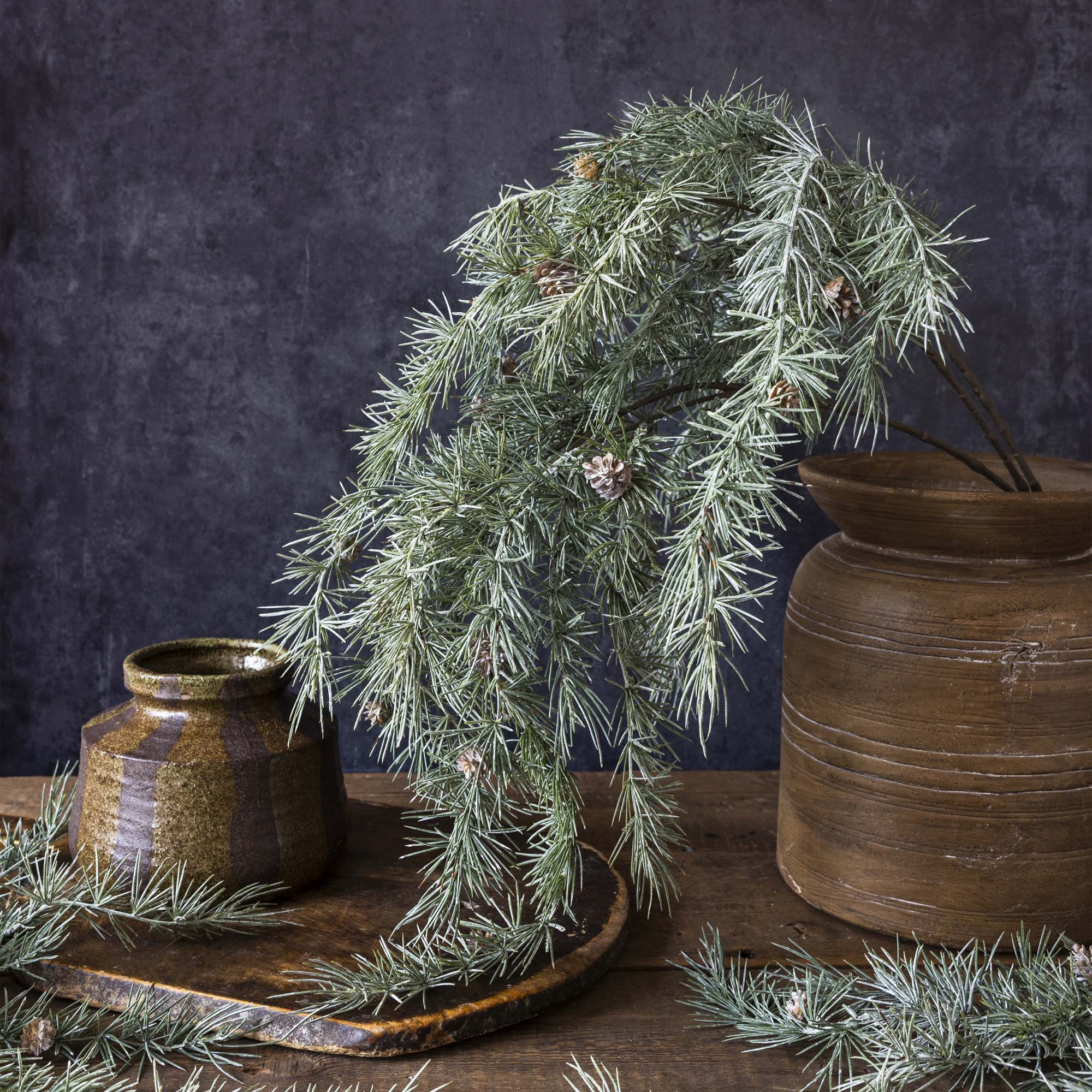Cedar Pinecone Branch