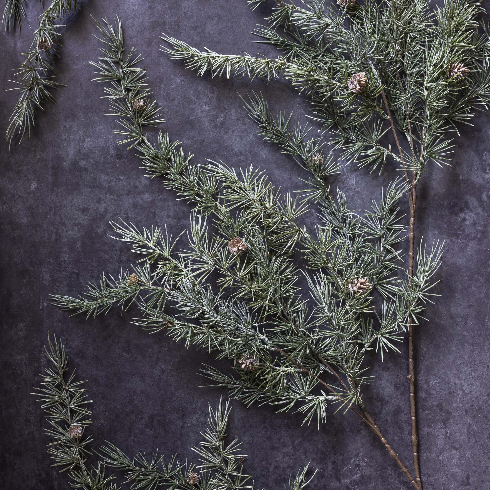 Cedar Pinecone Branch