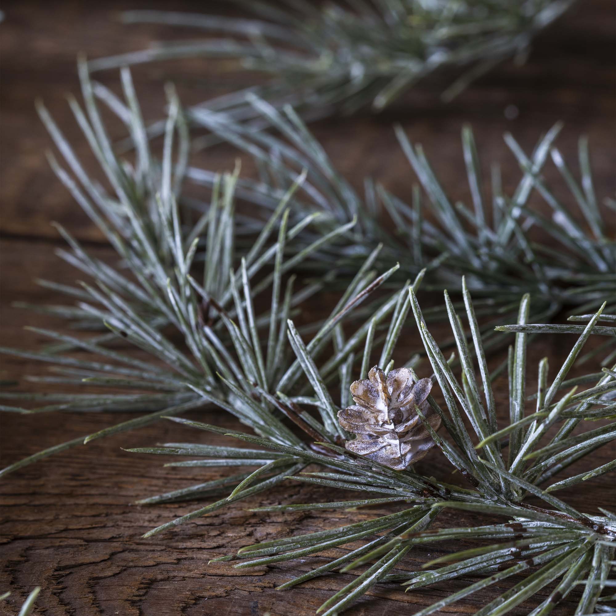 Cedar Pinecone Branch