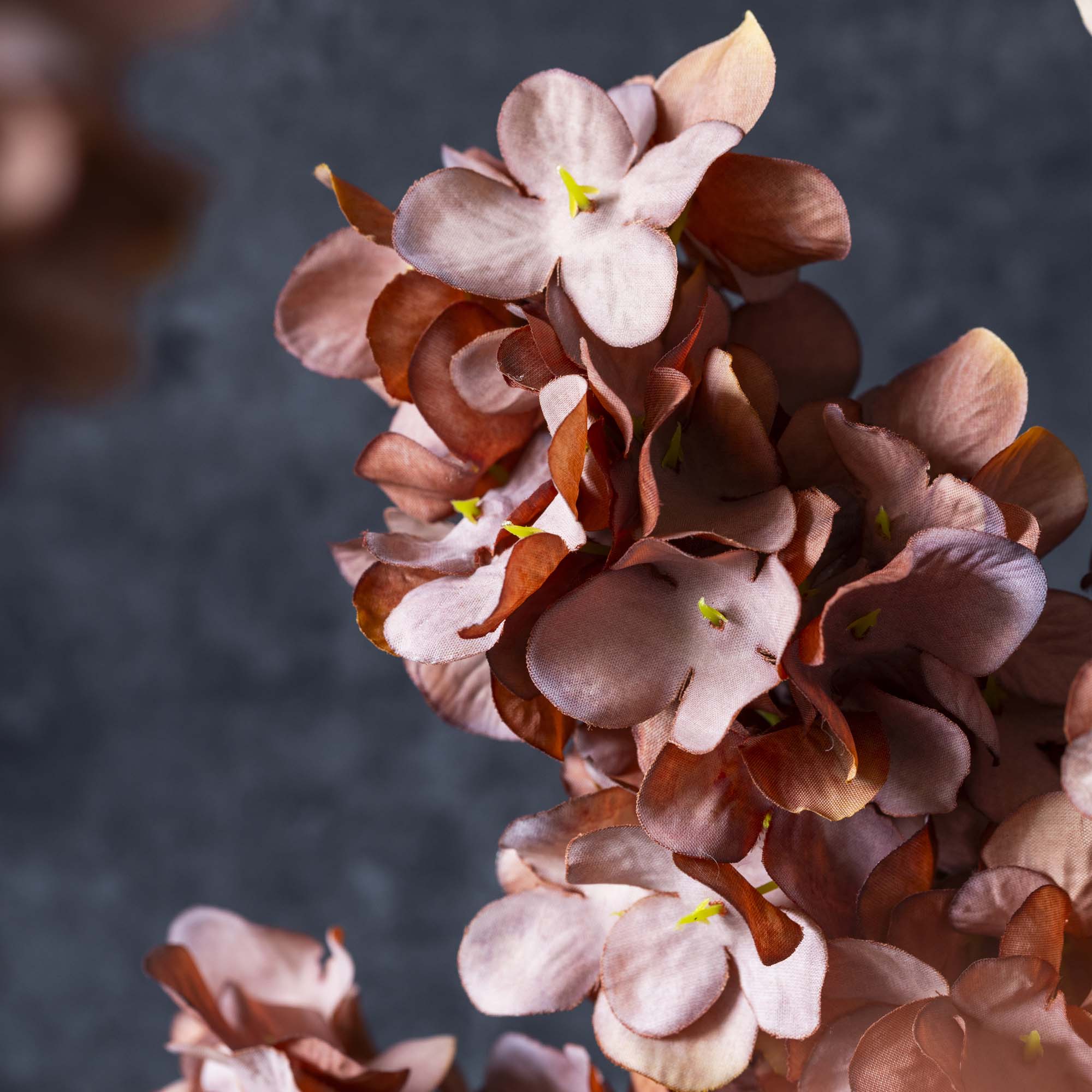 Cone Hydrangea Stem, Antique Pink