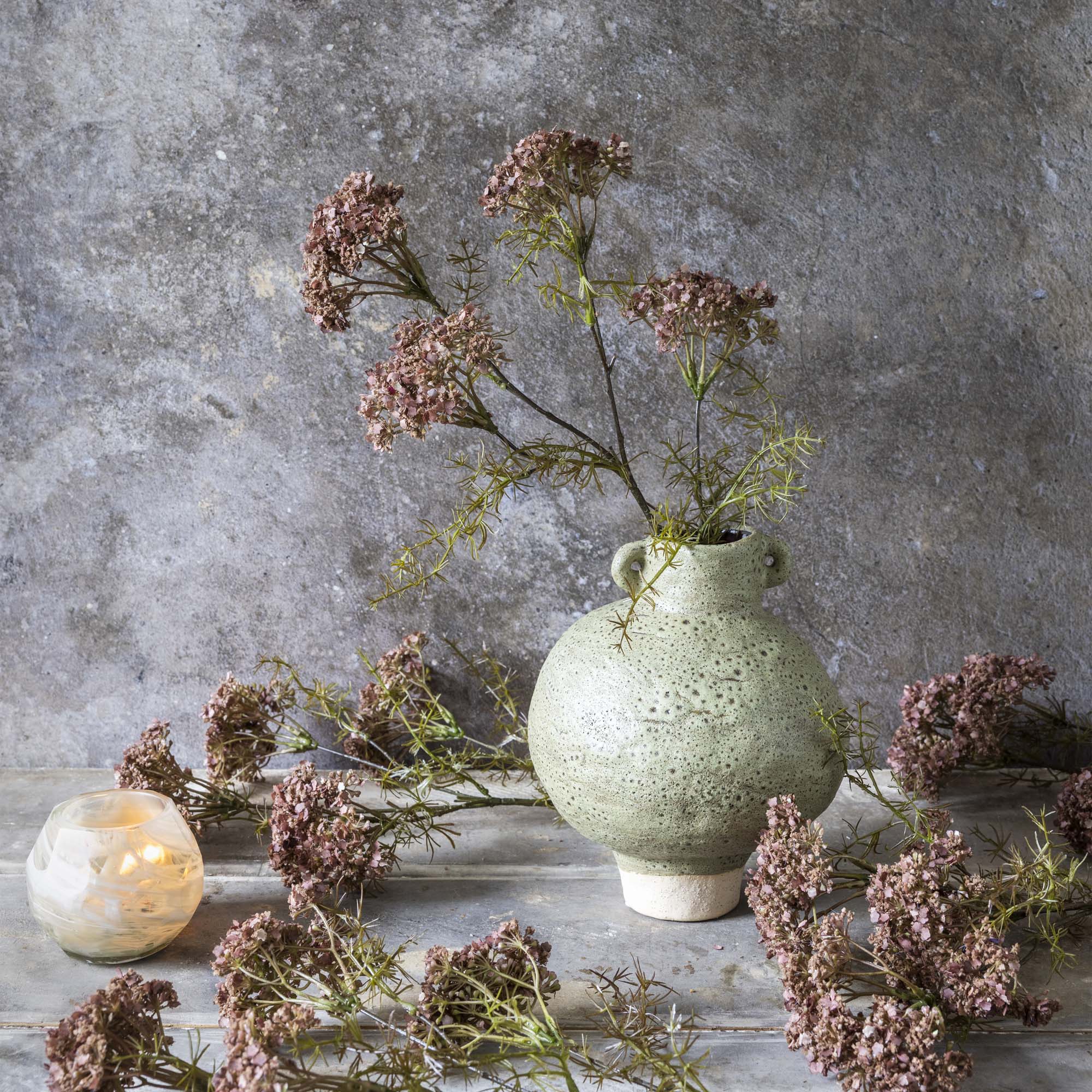 Dill Flower Stem