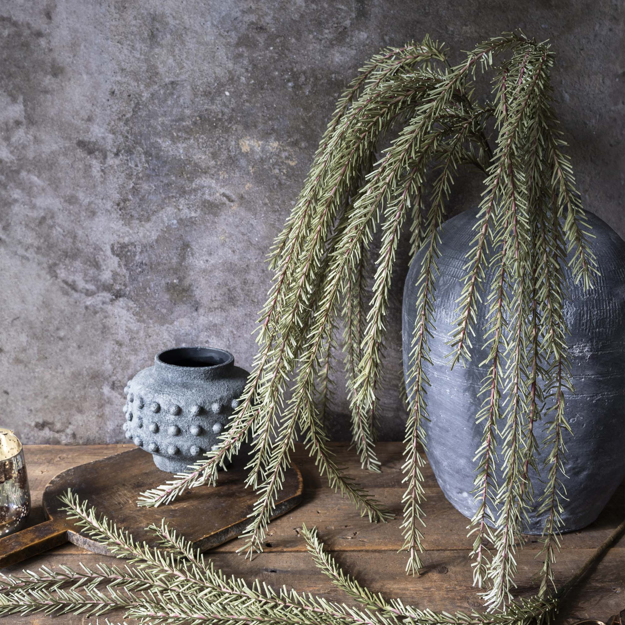 Trailing Rosemary Stem