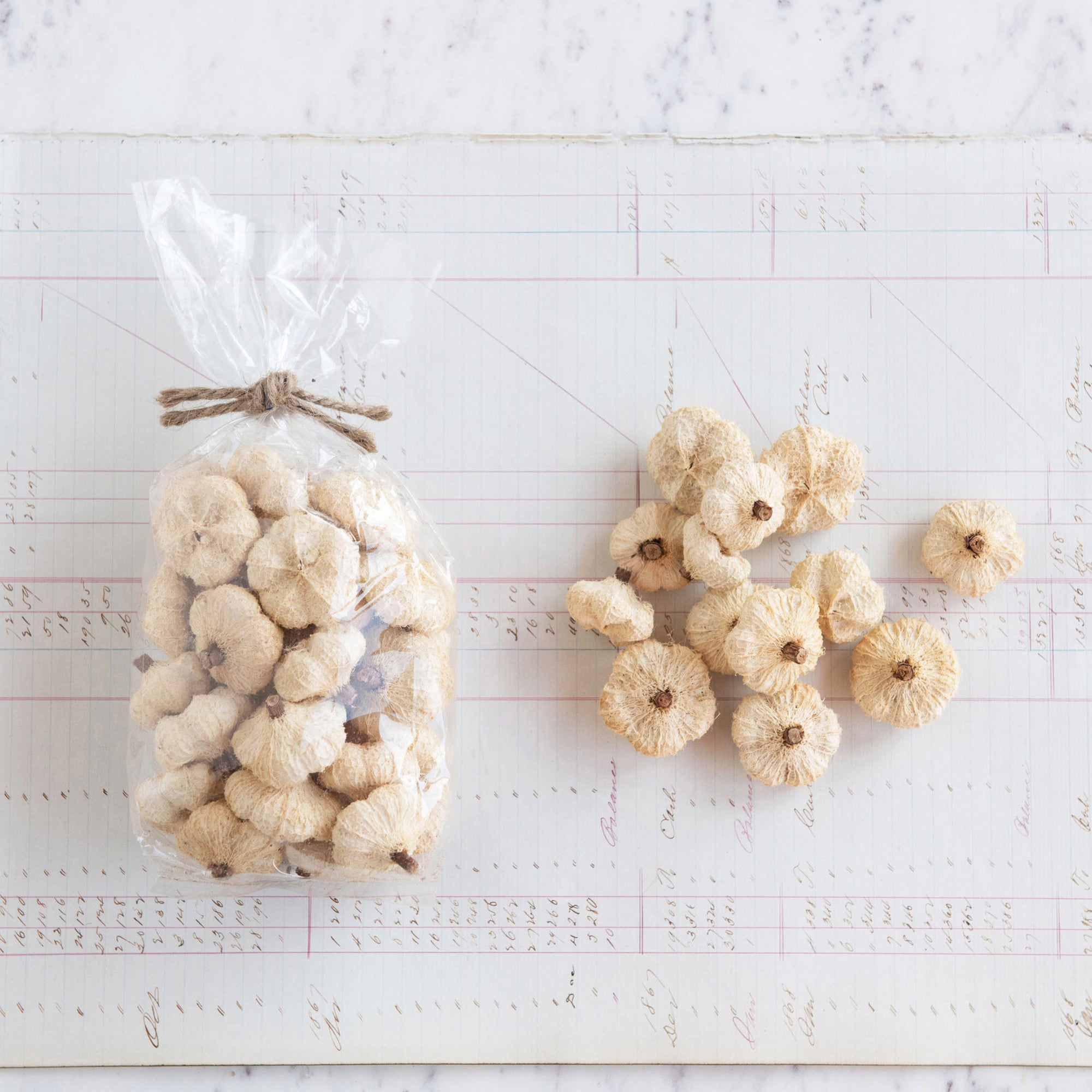 Dried Peepal Pods