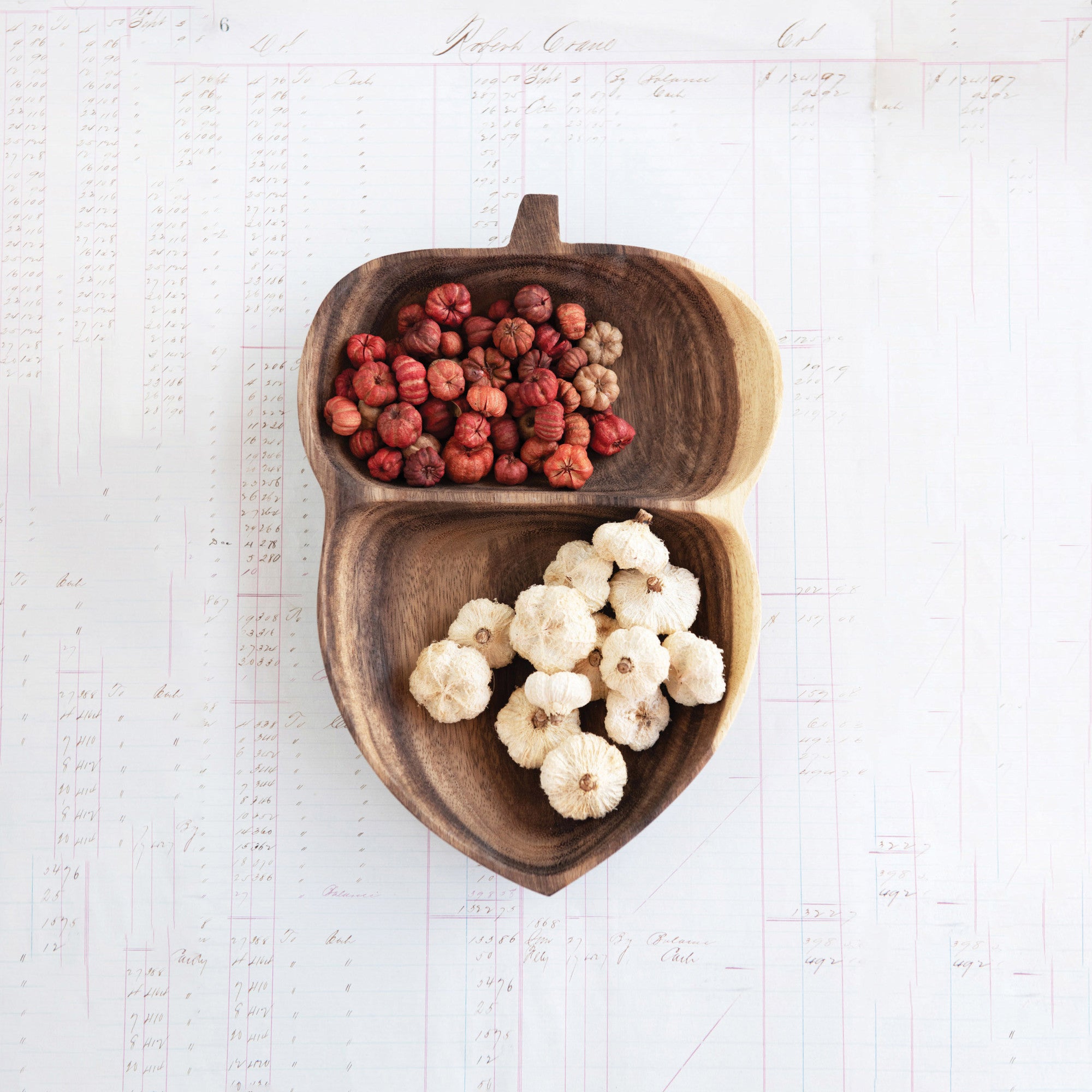 Dried Peepal Pods