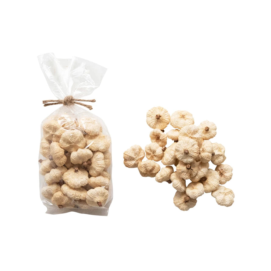 Dried Peepal Pods