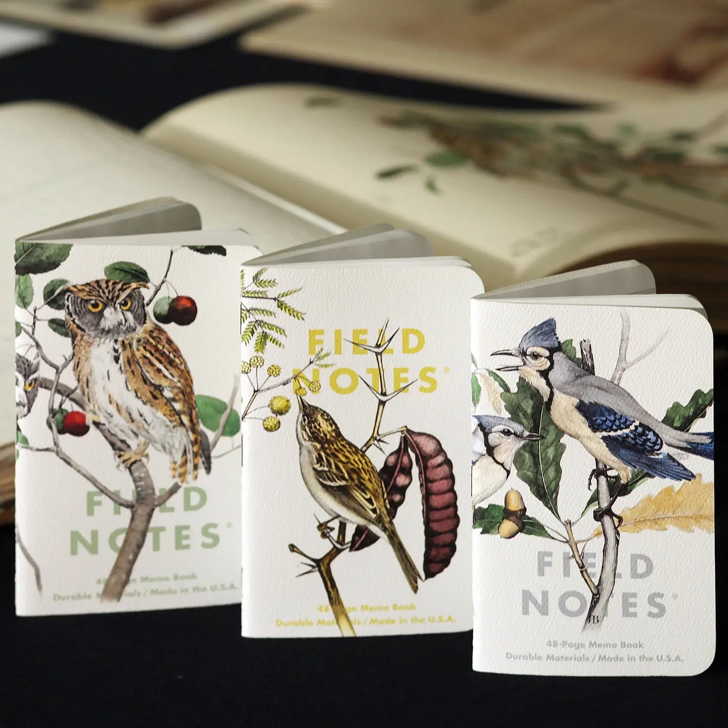 North America Field Notes