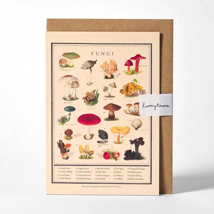 Greeting Cards FW-RT