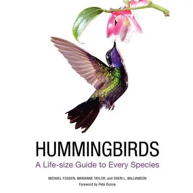 Hummingbirds: Michael Fogden