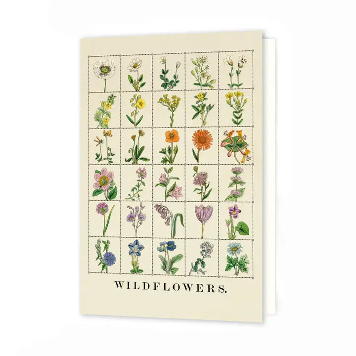 Greeting Cards FW-RT