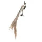 Feather Peacock