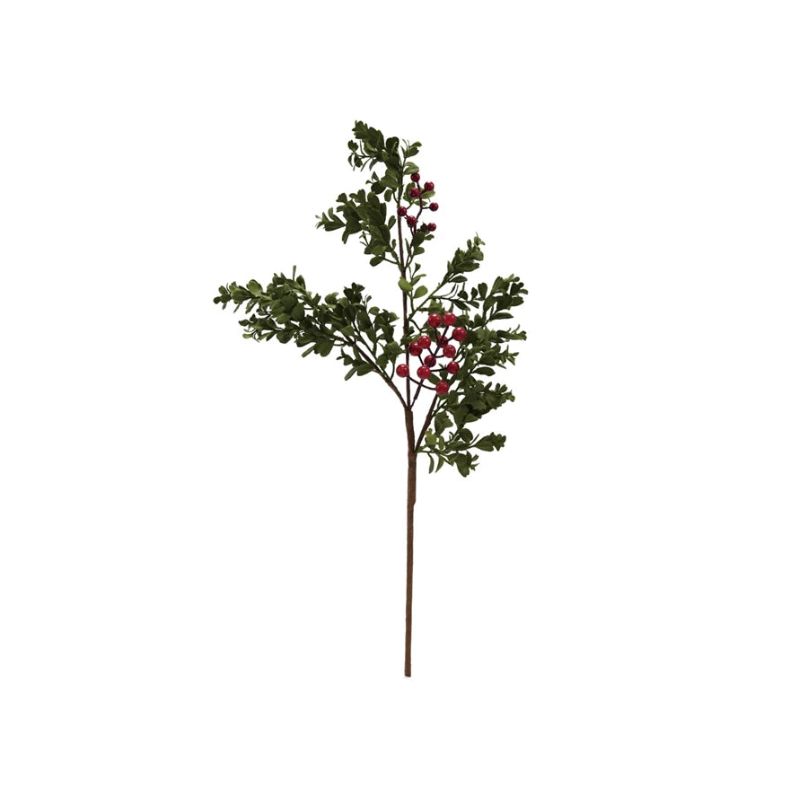 Boxwood Red Berry Stem